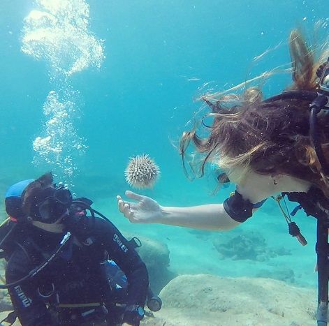 Buceo en el litoral habanero. Un sueño para principiantes.